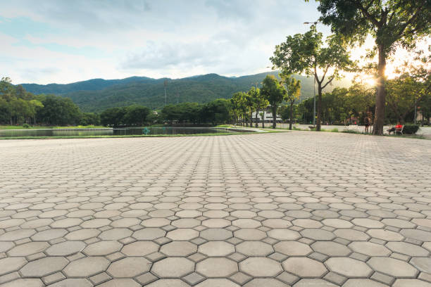 Best Driveway Paving Contractor  in Castle Hills, TX